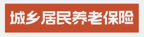 《关于2024年提高城乡居民基本养老保险基础养老金最低标准的通知》政策解读